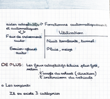 REVISE