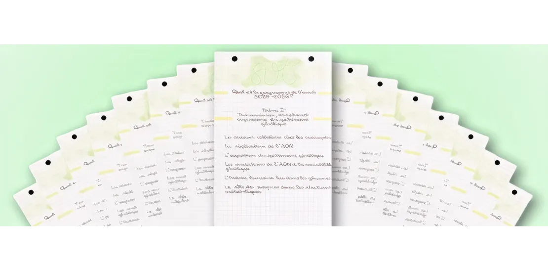 REVISE